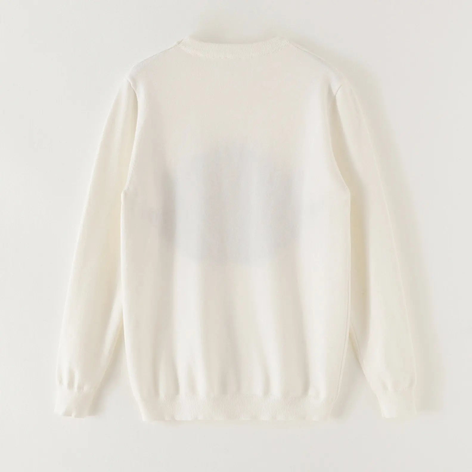 DIOR - SWEATSHIRT - https://treadfitpro.com/